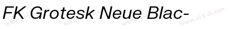 FK Grotesk Neue Blac字体转换 FK Grotesk Neue Blac字体转换